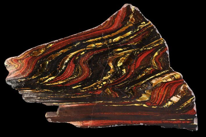 Polished Tiger Iron Stromatolite - ( Billion Years) #95889